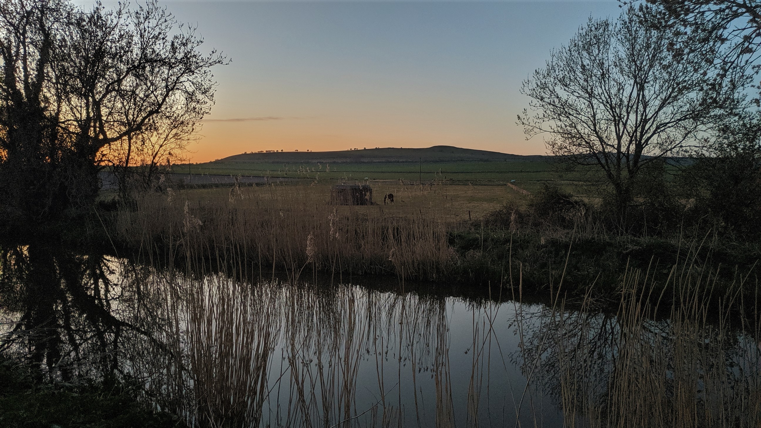 Canal View