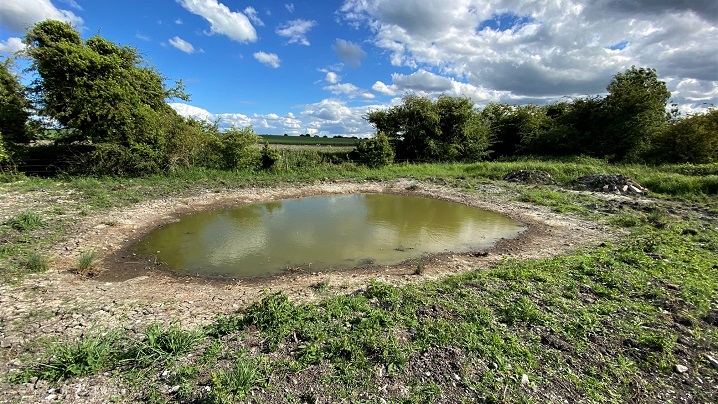 Dewpond Photo